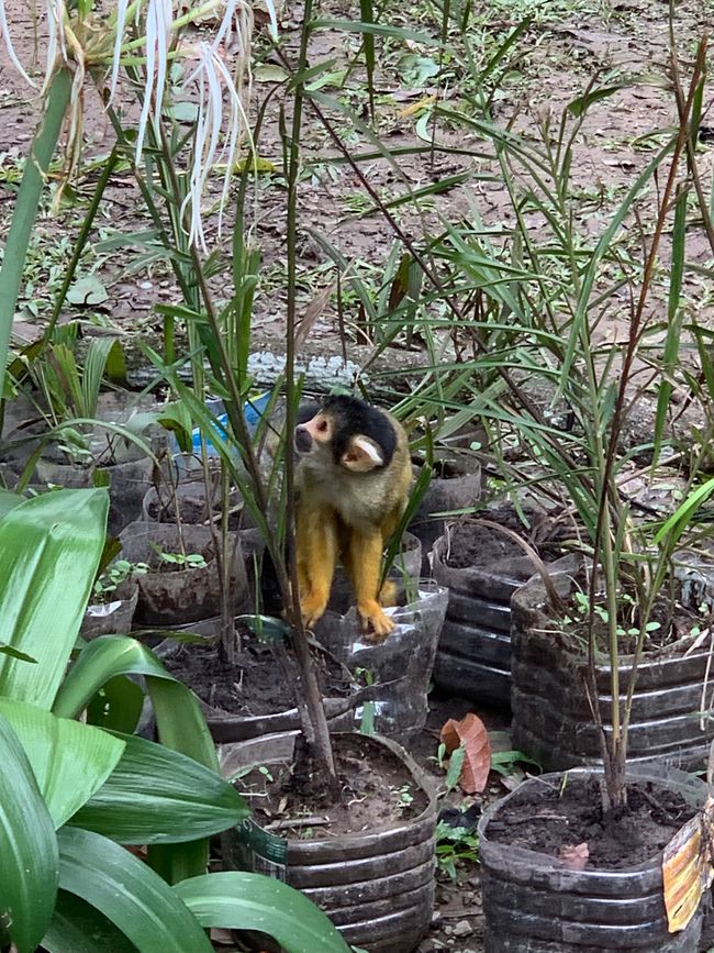 Trinidad (Chuchini Reservat)