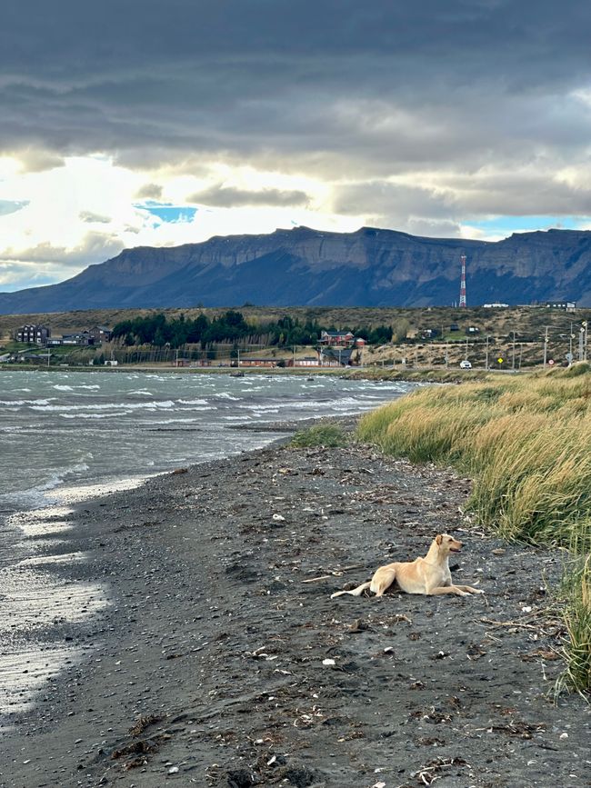 Day 6 - Puerto Natales