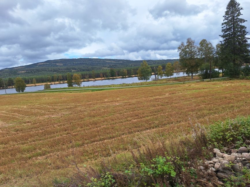 Tag 8 Via Oslo a Trondheim