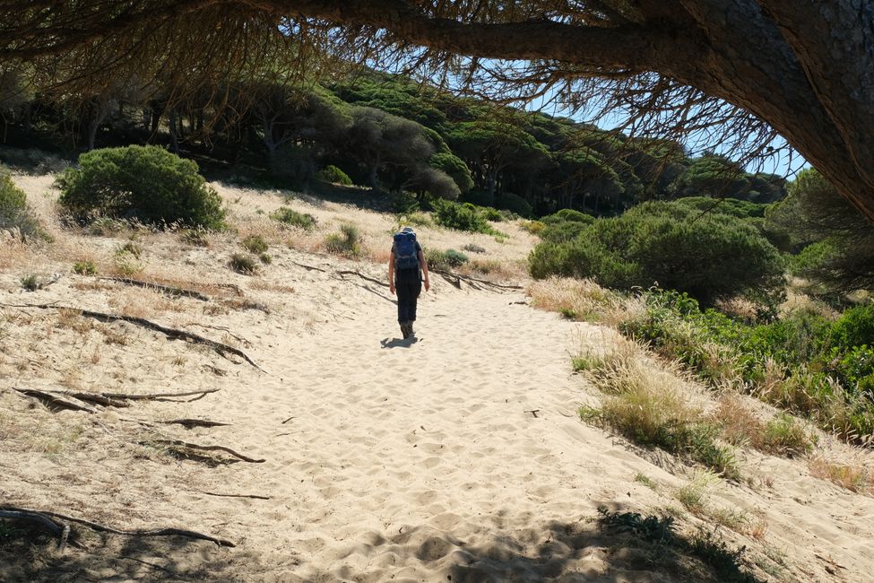 Parque natural de la Breña