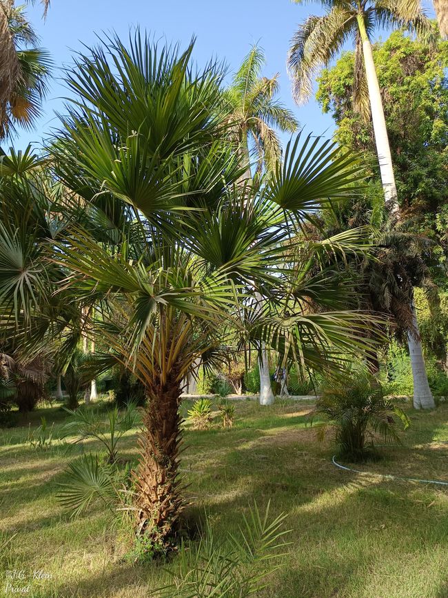 Botanischer Garten 