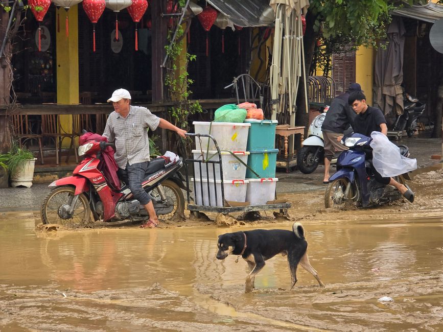 Hoi An - les travaux de nettoyage ont commencé