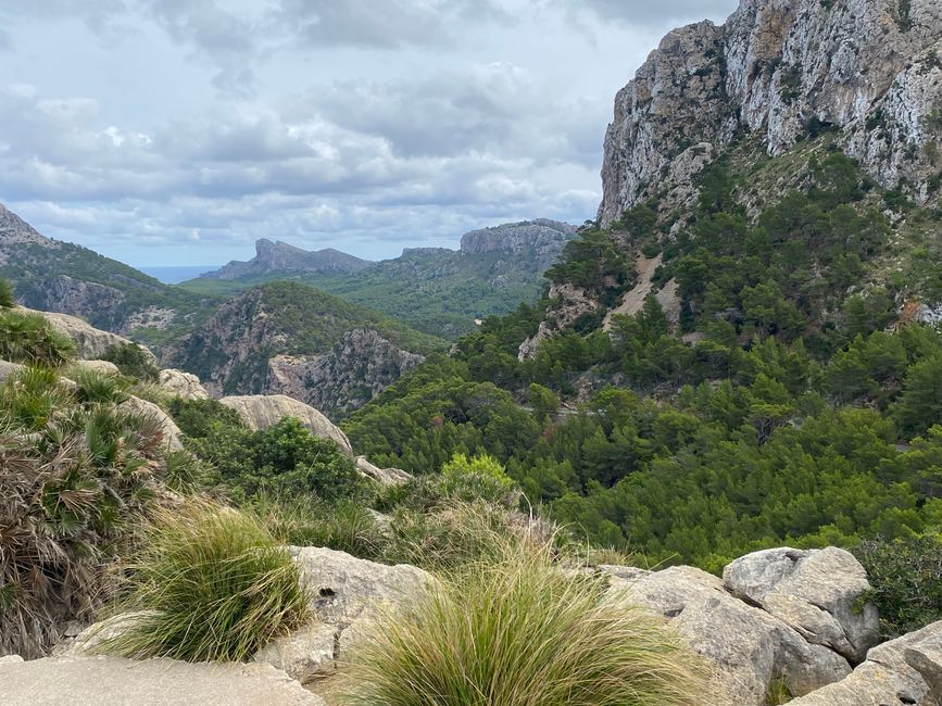 Tag 3 Es Colomer Viewpoint