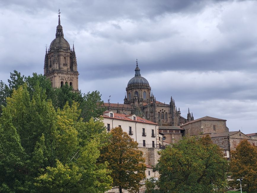 Blick auf Salamanca