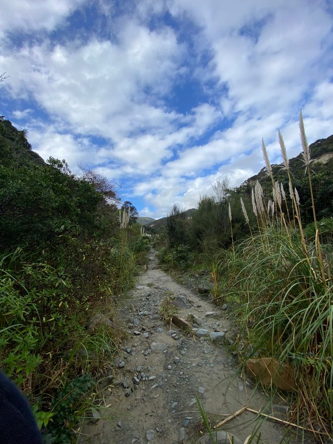 Sendero de los Pinnáculos de Putangirua