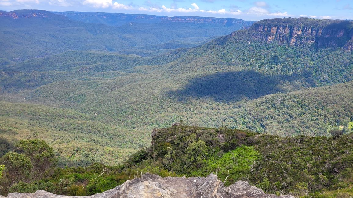 Blue Mountains – Eukalyptusbäume locken nicht nur Koalas an