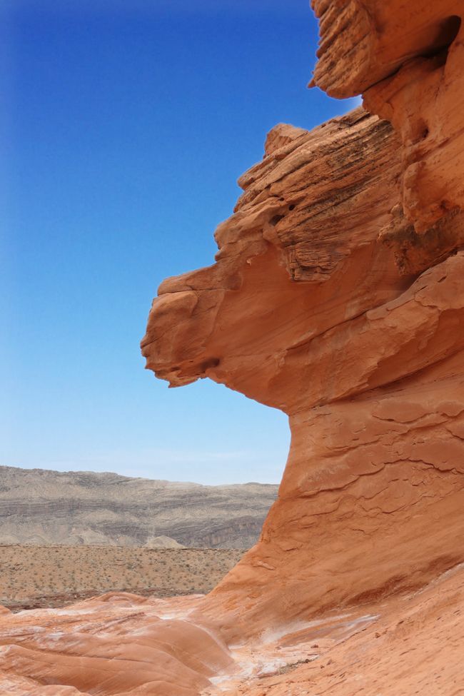 USA - Las Vegas and more ...   road trip 2025