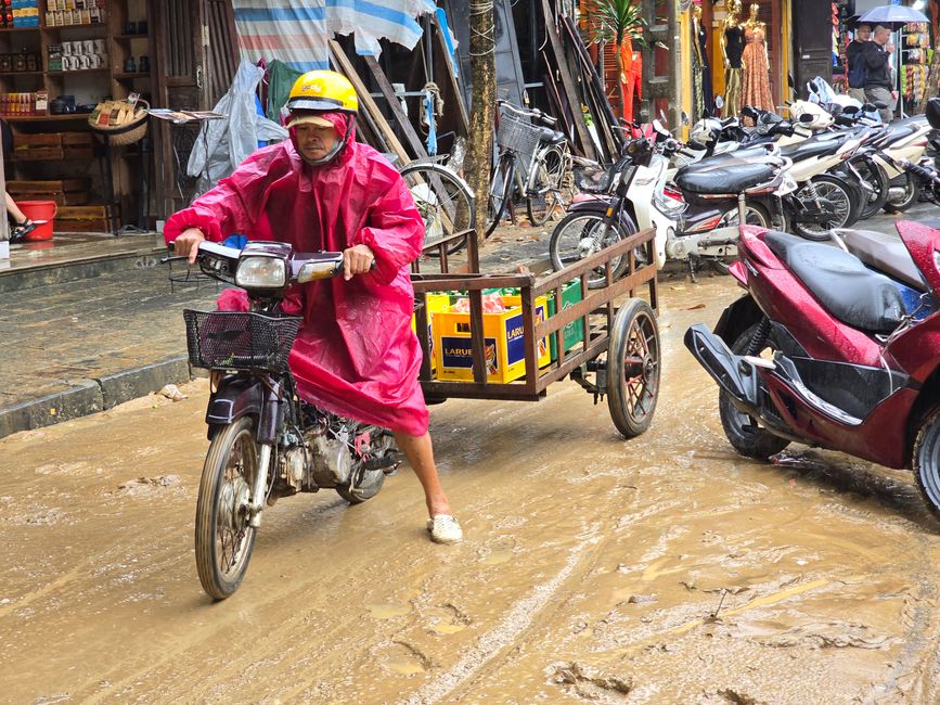 Hoi An - les travaux de nettoyage ont commencé