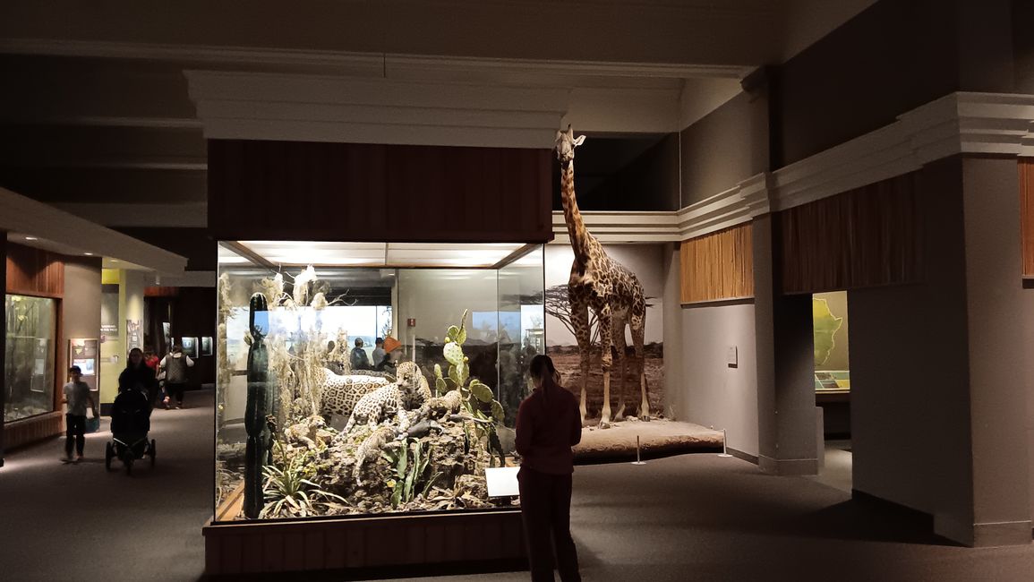 Museum of natural history I