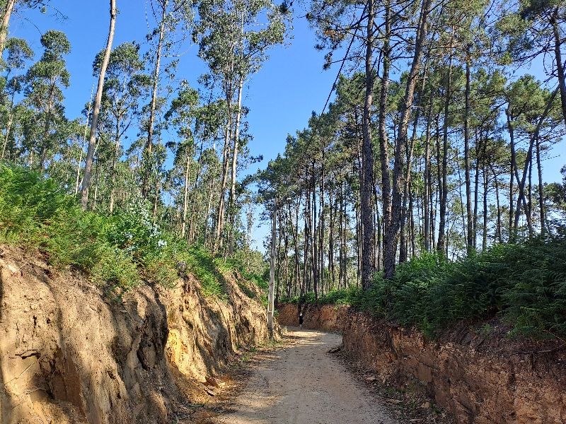 3. Etapa: Antas - Viana do Castelo