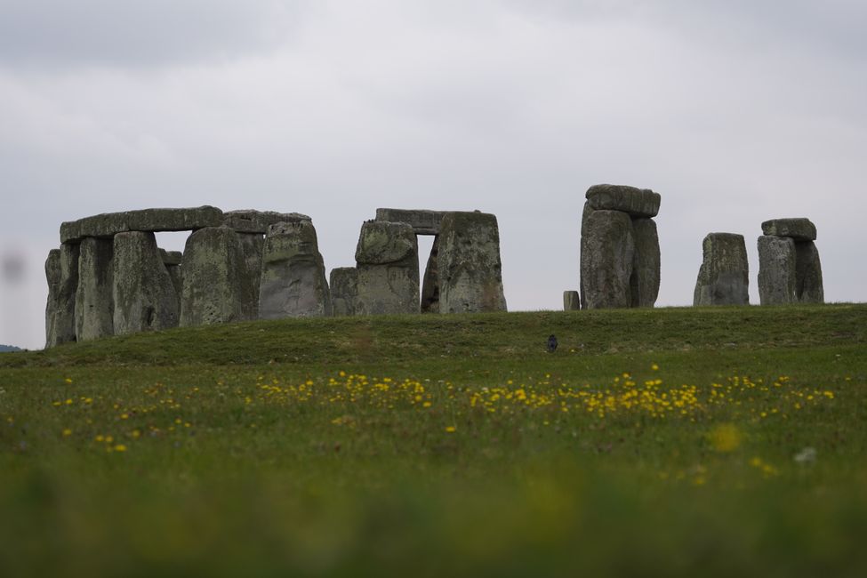 Una visita a Stonehenge y '...tenemos que ir allí...'