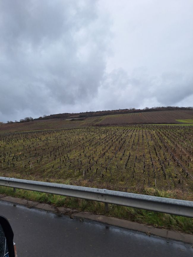 Burgunder Weinberge 