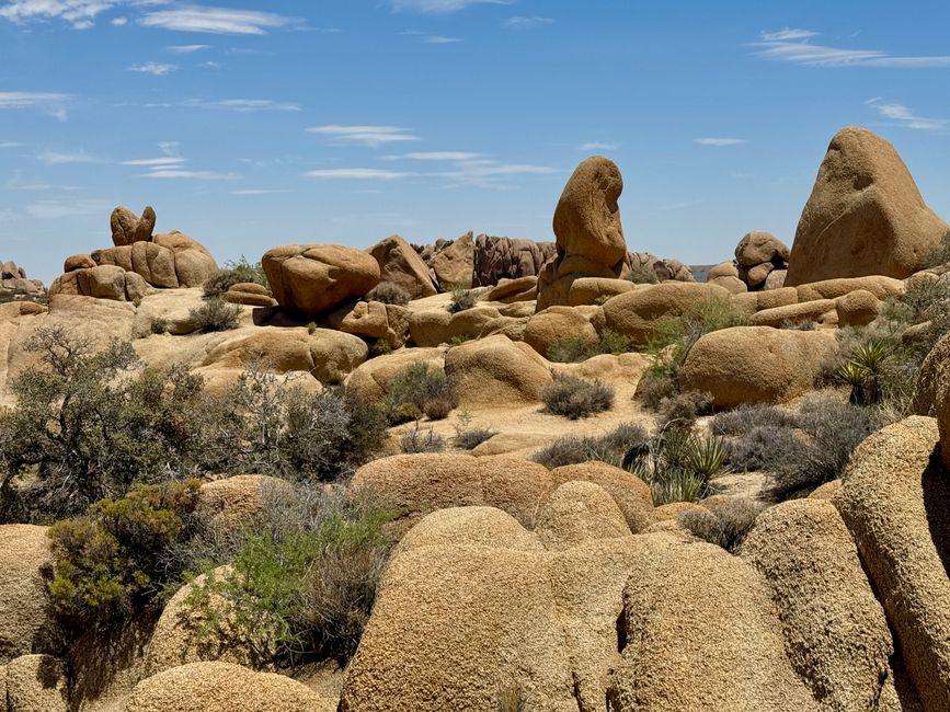 Joshua Tree National Park – Arch Rock & Skull Rock