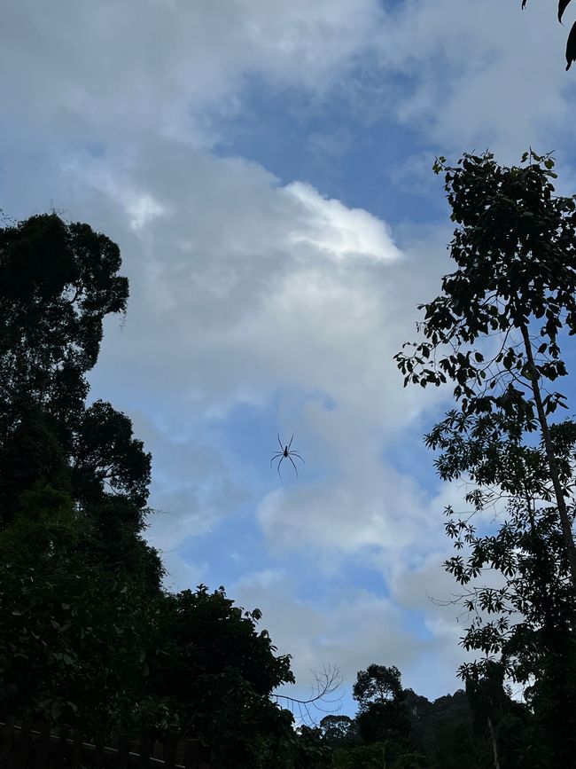 Khao Sok National Park