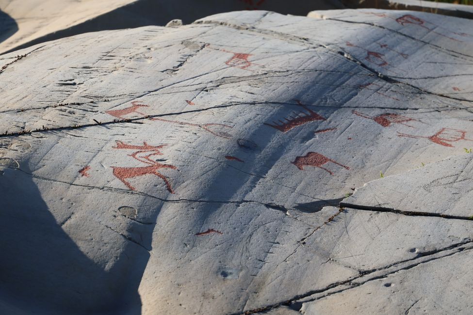 7000 Jahre alte Steinritzungen