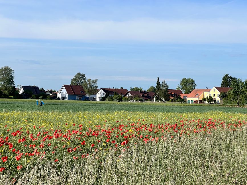 40 to Grünwald