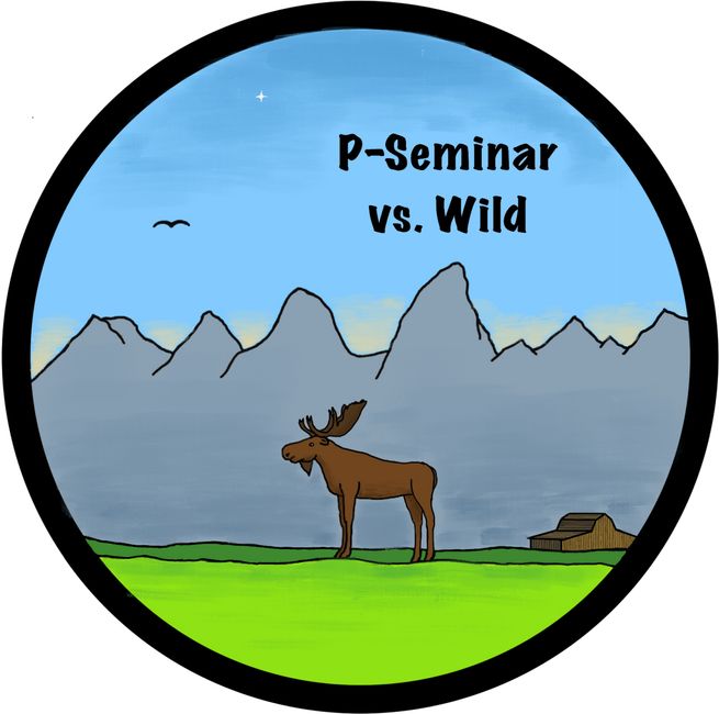 p-seminar-vs-wild