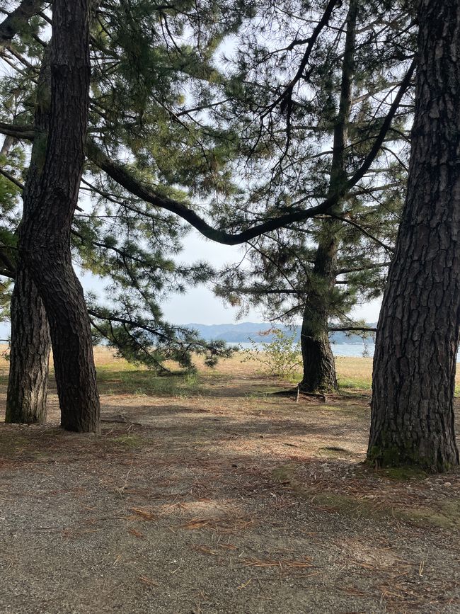 26. Kapitel: 
Frühstücksbuffet und Amanohashidate-Landzunge: Beide atemberaubend