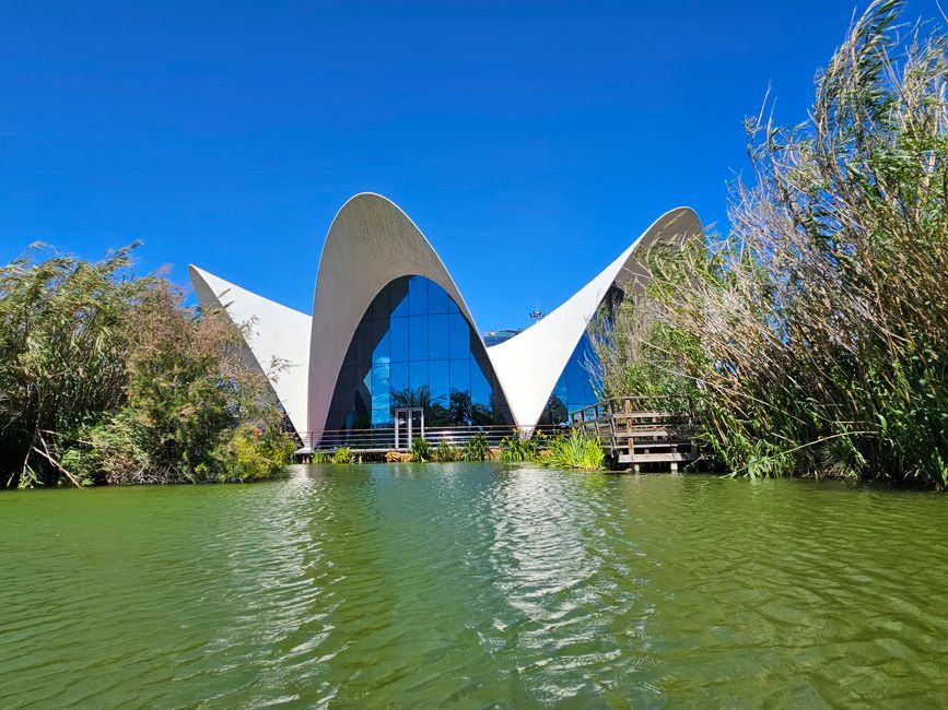 2025 - Aprile - Valencia - Oceanogràfic