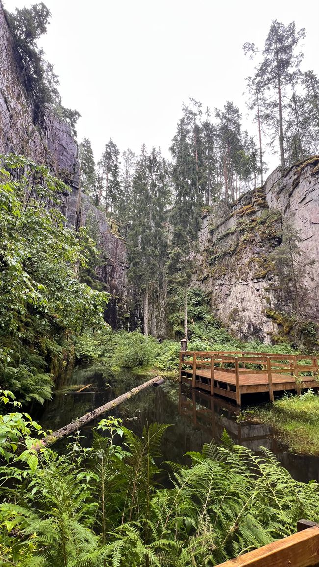 Svezia o anche Survival Camp