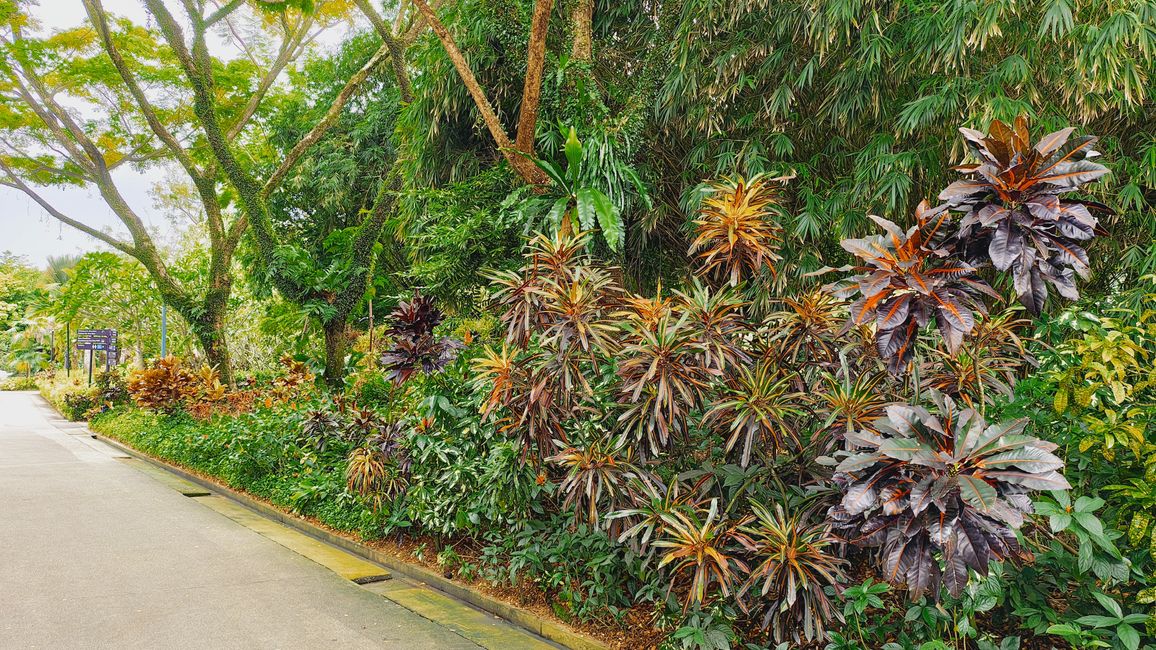 Gardens by the Bay