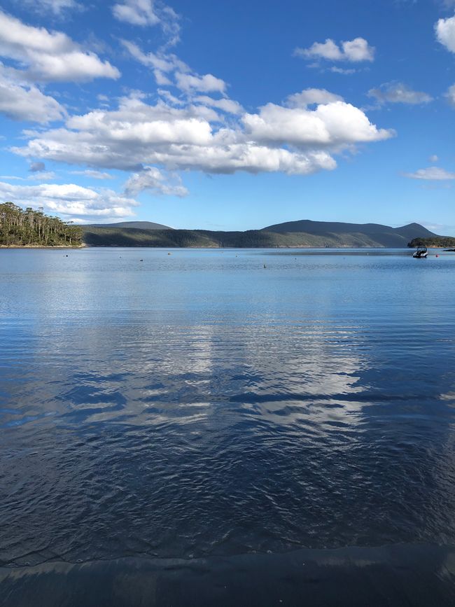 Stuart Bay - glasklares Wasser