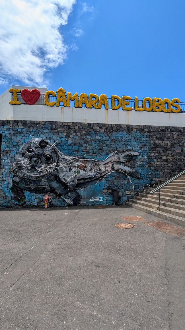 Tag 7: Vom Südwesten (Calheta) in den Südosten (Ponta de São Lourenço)