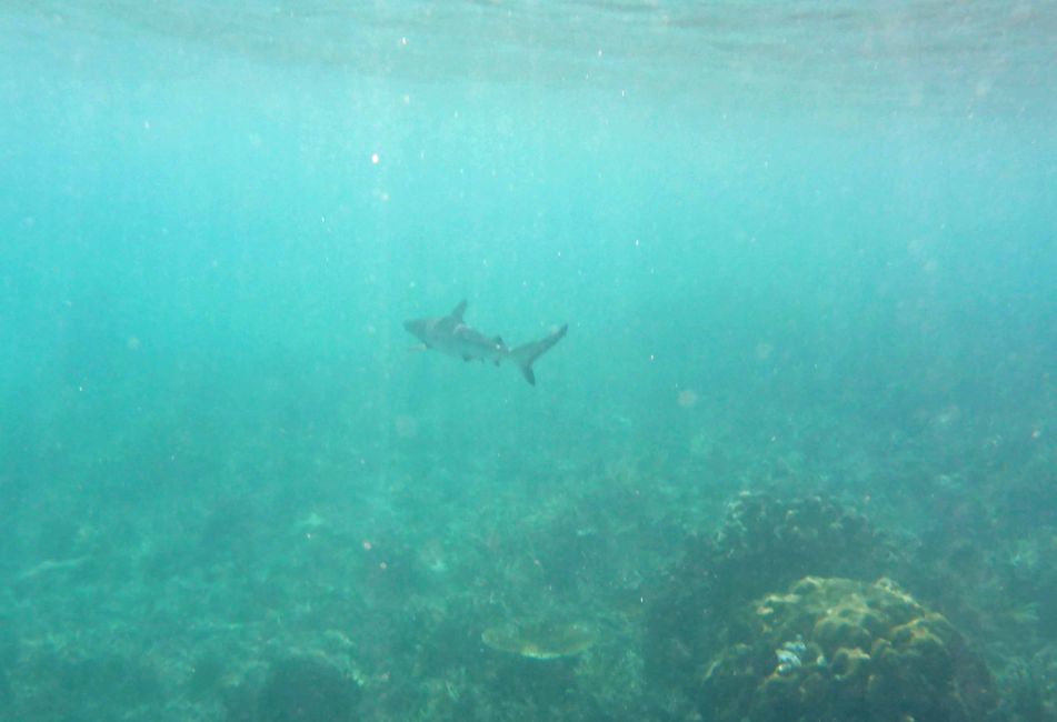 Misool, Westneuguinea, Indonesien, Insel-Ausflug