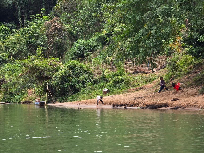Muang Ngoy