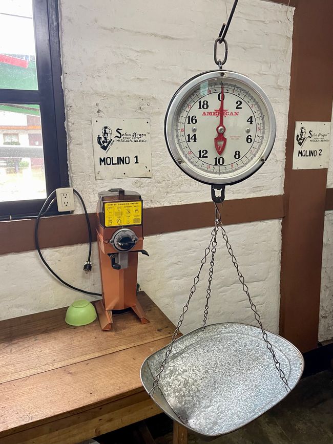 danach gemahlen und abgewogen