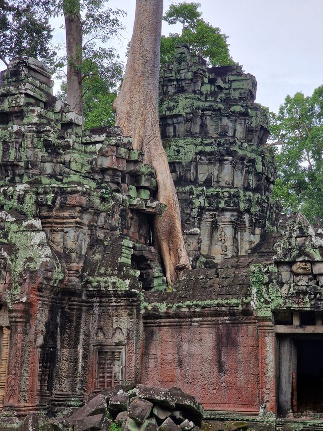 Baphuon und Ta Phrom - Himmelsleiter und himmlischer Ort