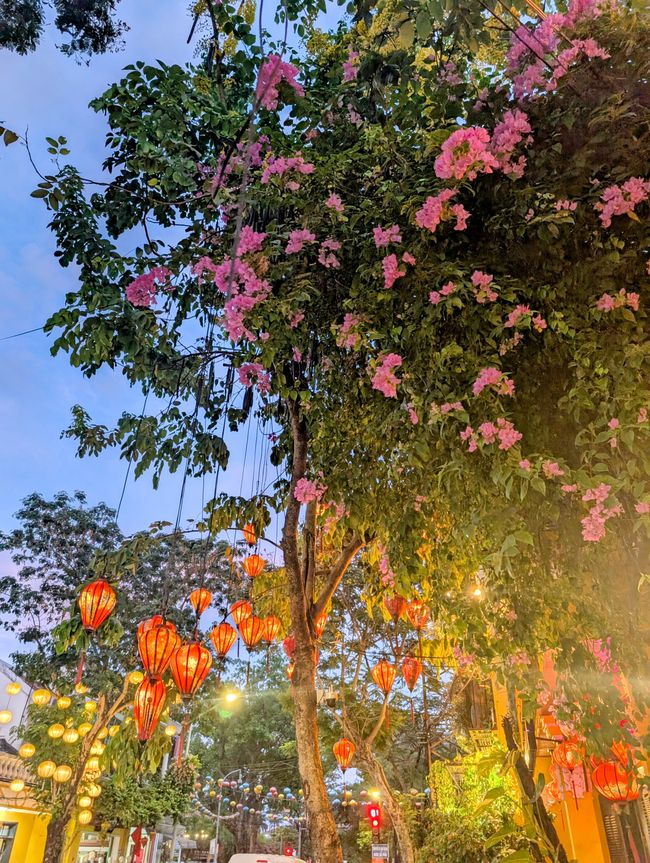 I go with my lantern...