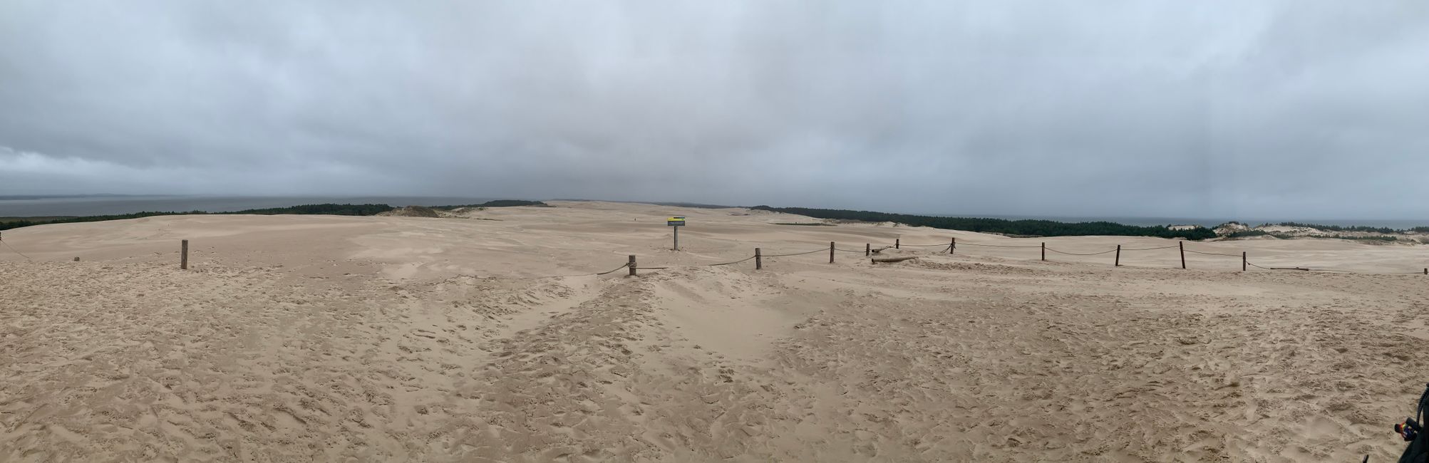 Die Lontzkedüne (Wydma Łącka) 