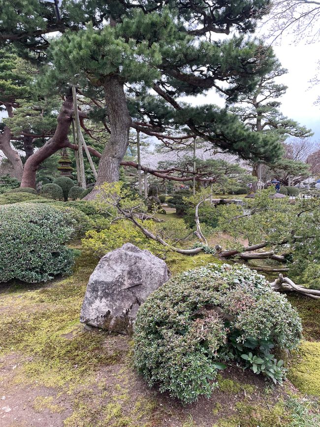 Kenrokuen Garten