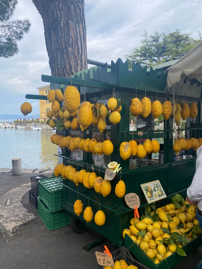 …bekannt für seine Riesenzitronen…