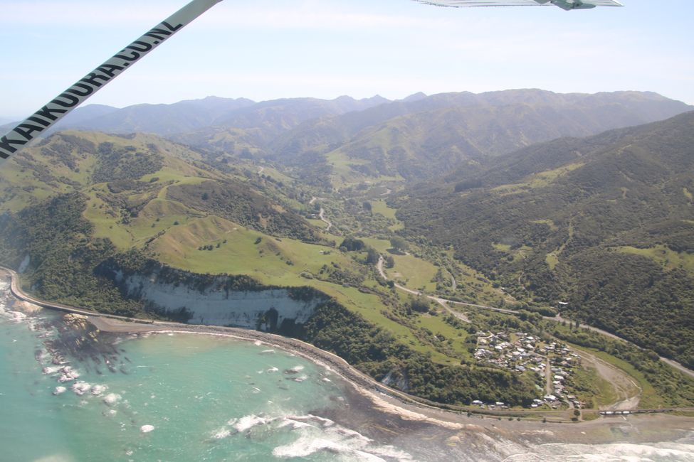 „Animal Watching“ in Kaikoura – Part Two (Seals, No Whales & Dolphins? - but Sheeps!)