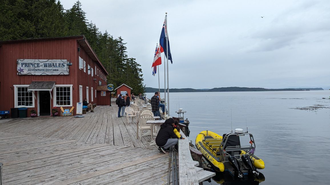 Day 11: Strathcona PP - Telegraph Cove - Alder Bay