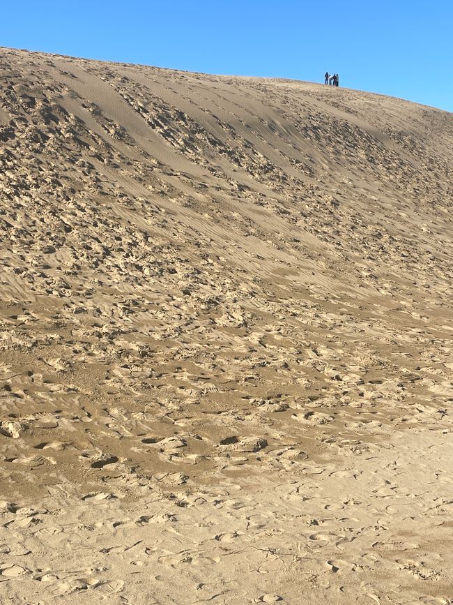 28. Kapitel: Ausflug in die japanische Wüste und ein verhinderter Kamelritt