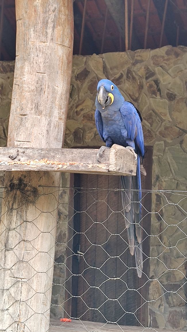 Refugio Canaa Brasil