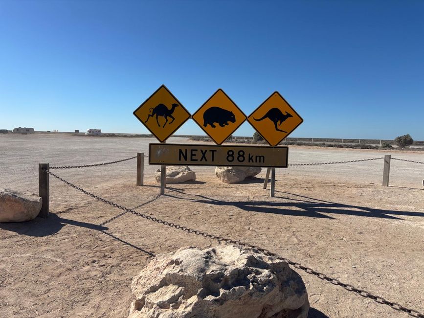 Nullarbor - Welcome to the Outback 🦘