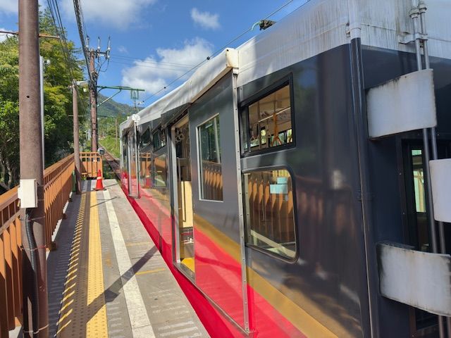 Hakone Super delizioso