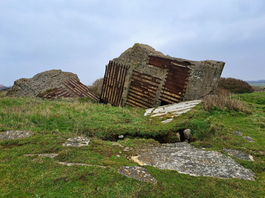 Bunker steht Kopf!