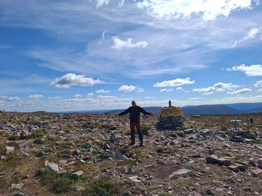 Parc national de Fulufjellet - Safari d'élans