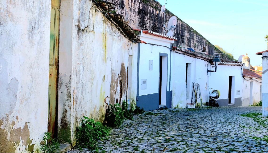 Street SERPA