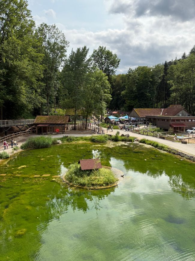 📍Wildpark, Hundshaupten/ 📍Wildlife Park, Hundshaupten