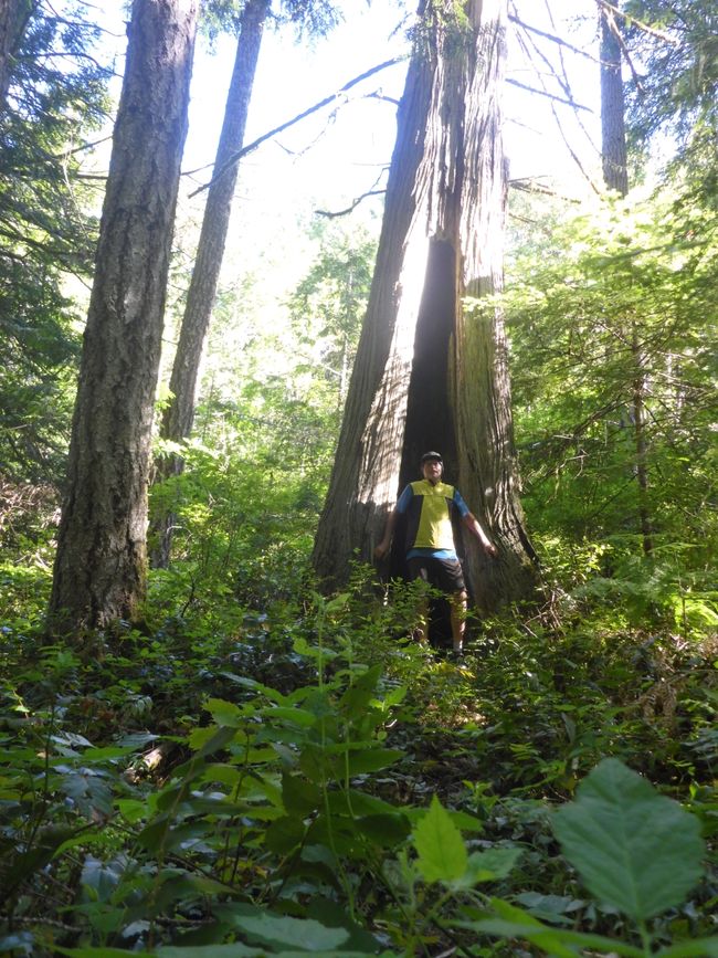 2025-05-29 Vancouver Island Cycling Tour