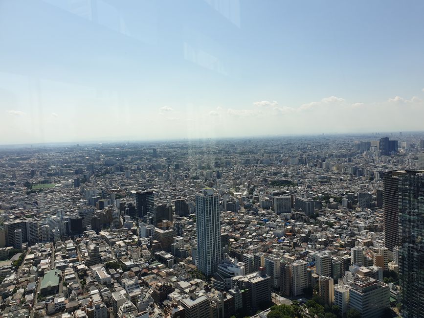 Tokyo from above