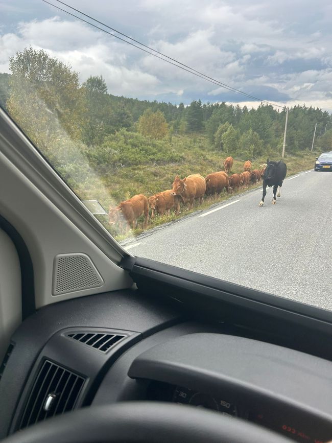 Tag 12 - von Bakka nach Vågåmo durch den Jotunheimen Nationalpark