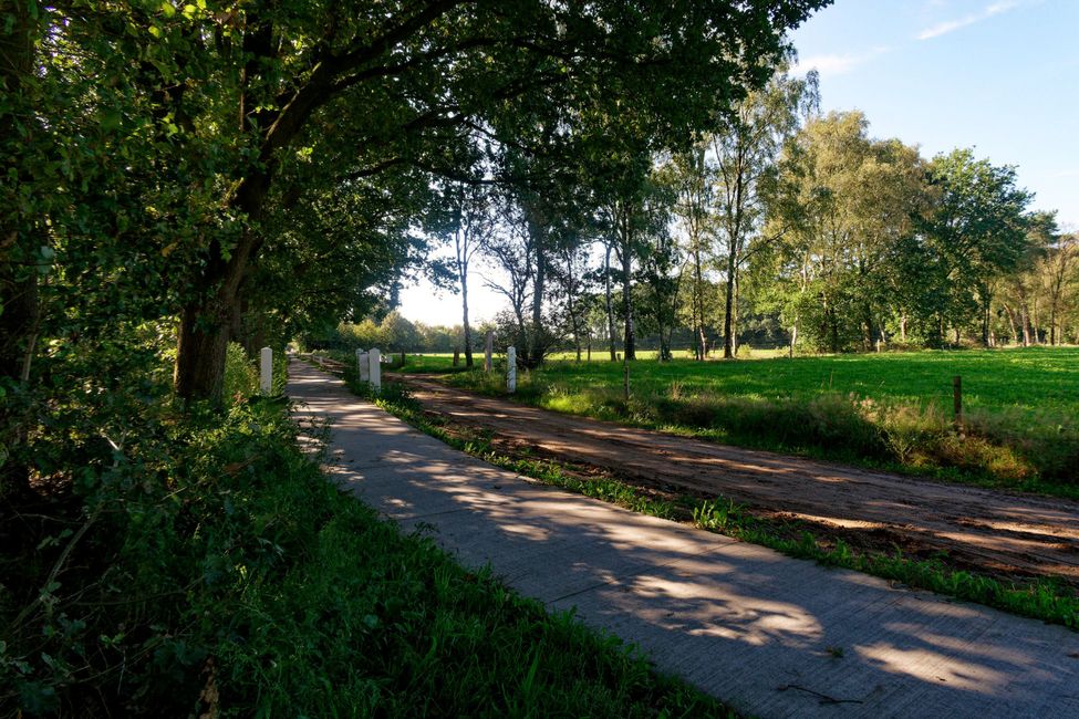 Radfahren in der Veluwe
