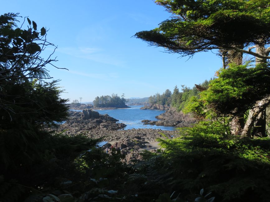 Arte de Primeras Naciones por todas partes en Campbell River y otros lugares